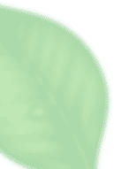 Iztac Mexican Restaurant Footer